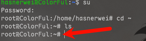 image-20250724091334239