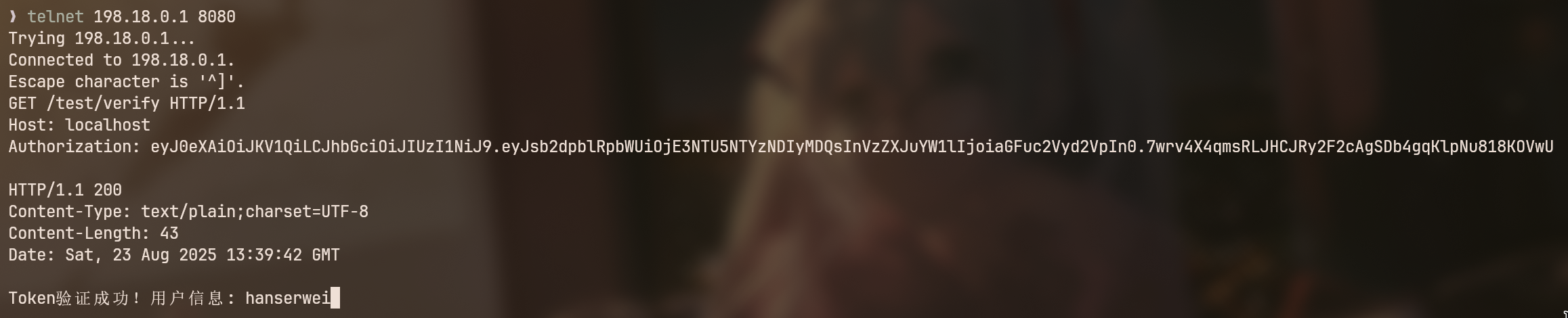 image-20250823214001040