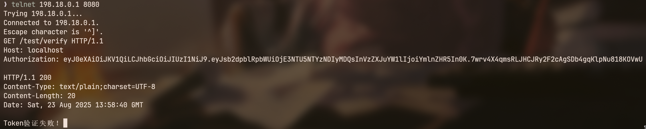 image-20250823215906146